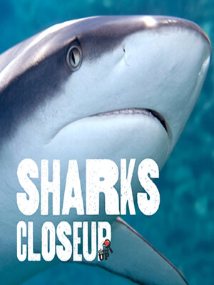 cover image of Sharks CloseUp